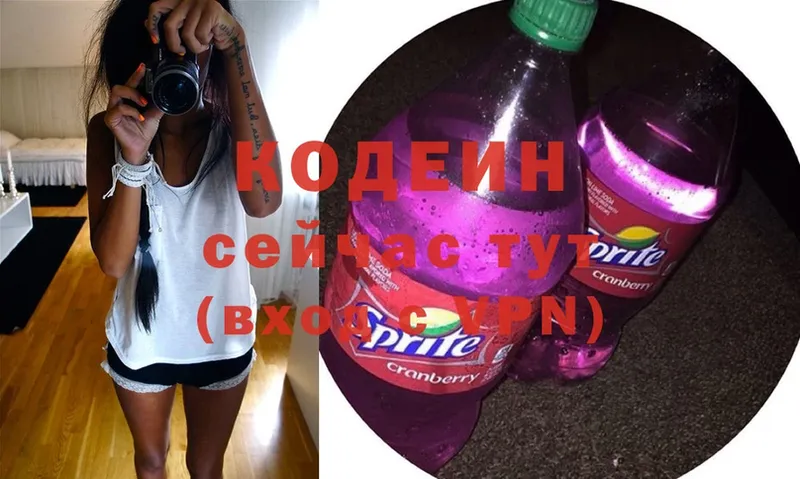 купить наркотик  Камышлов  Кодеиновый сироп Lean Purple Drank 