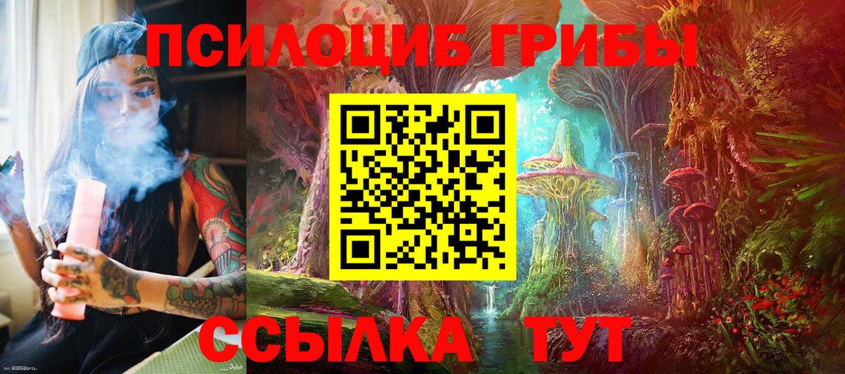 Камышлов  Псилоцибиновые грибы ЛСД  Вход с VPN 