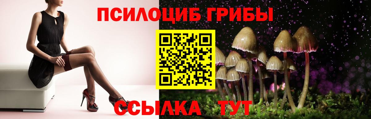 Галлюциногенные грибы MAGIC MUSHROOMS  Камышлов 